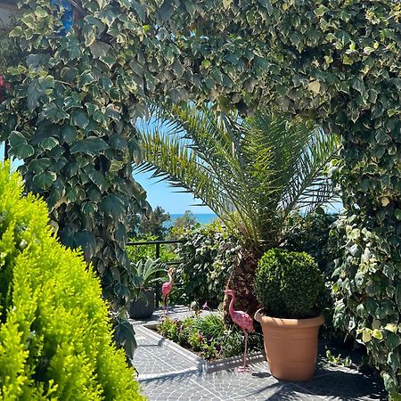 ホテル Kemeni Garden バトゥーミ エクステリア 写真