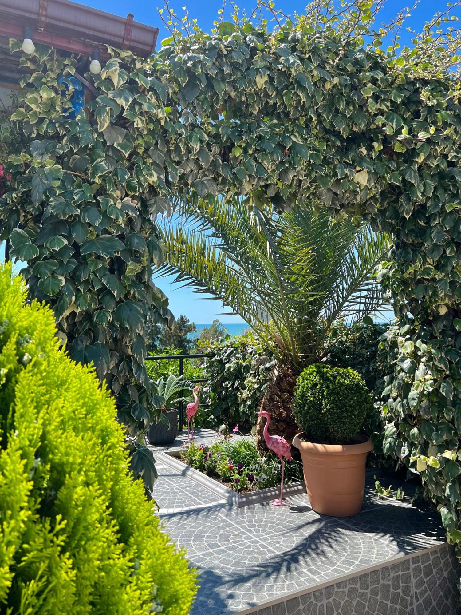 ホテル Kemeni Garden バトゥーミ エクステリア 写真